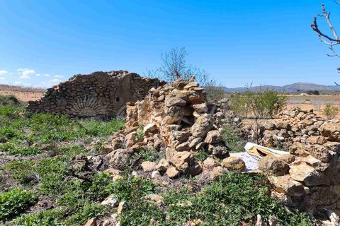 Helårsgrund i Yecla, Murcia, Yecla - € 26.500 | Ref: SF0526 - foto 14